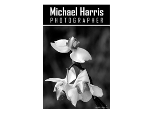 Michael Harris Photographer Logo Design