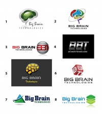 Big_Brain_Logo1-8