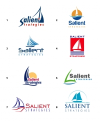 Salient_Strategies_Logo1-8