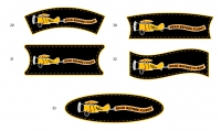 Safer_Aviator_Logo29-33