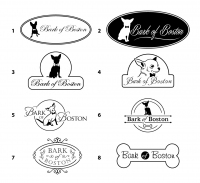 Boston_Logo1-8